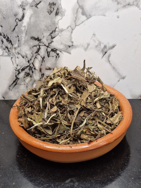White tea