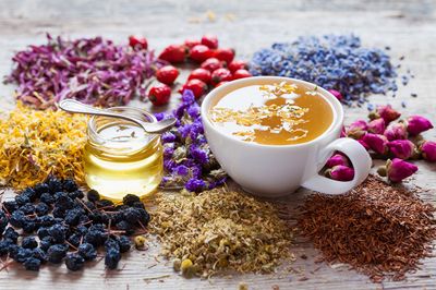 Tés e Infusiones