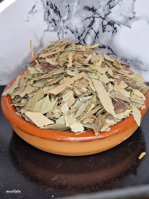 Eucalyptus 