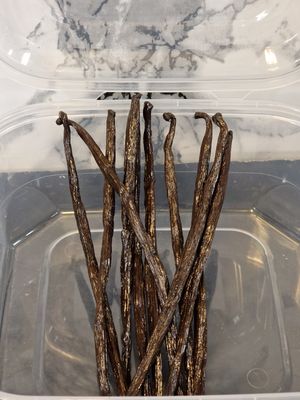 Vanilla 