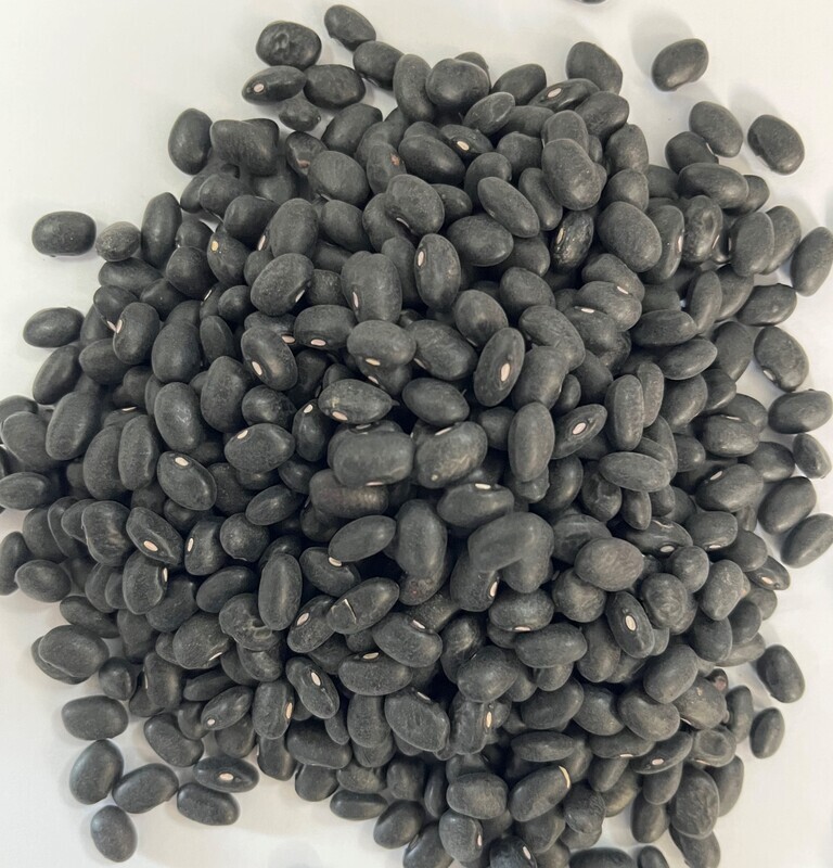 Alubia negra frijol.