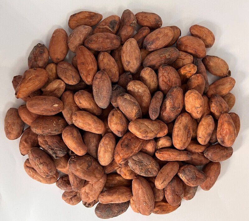 Cacao grano bio.
