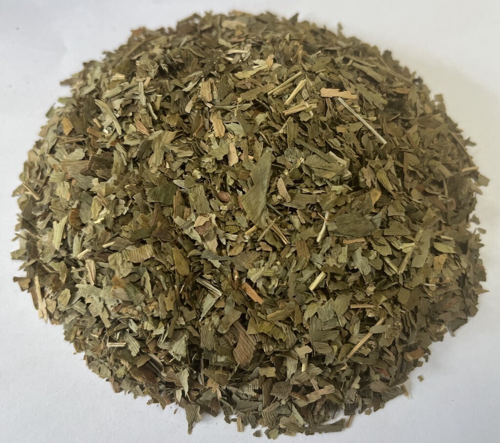 Ginkgo biloba.