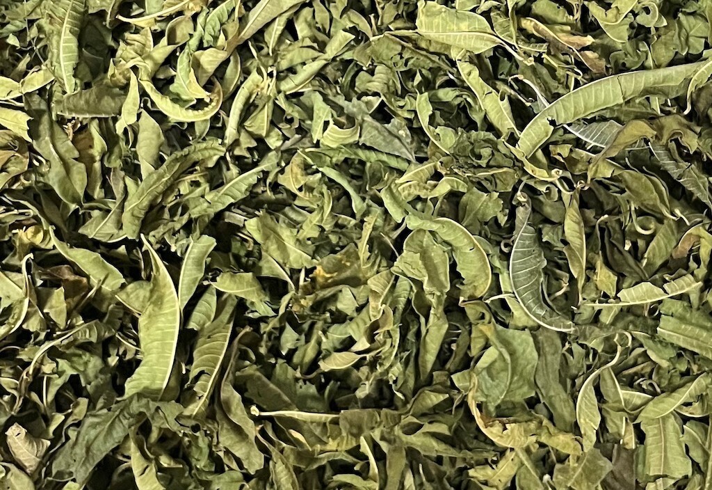 Hierba luisa.