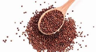 Quinoa roja Eco.