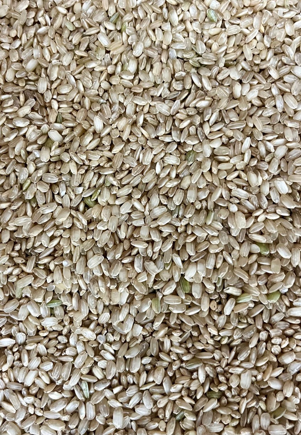 Arroz integral.
