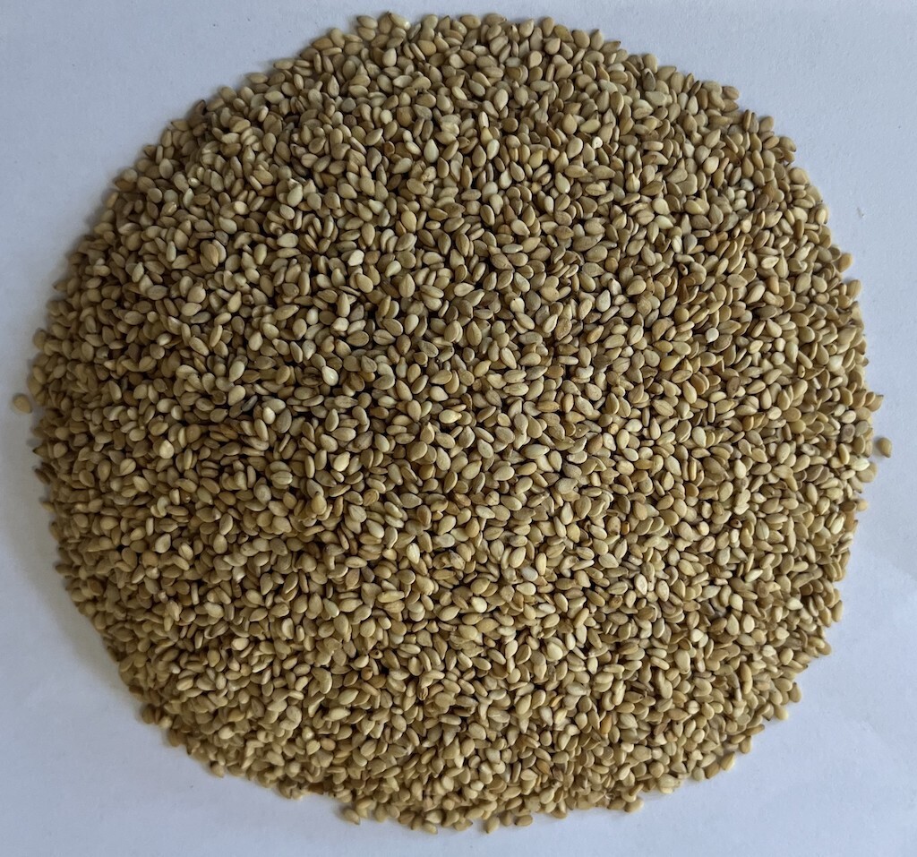 Sésamo dorado. Tamaño Restauración.