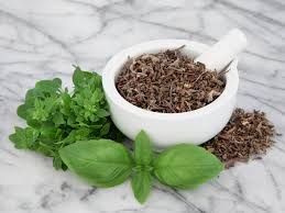 Albahaca Hojas El Reloj