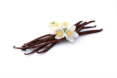 Vainilla rama El Reloj.