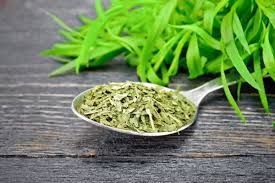 Estragon hojas El Reloj.