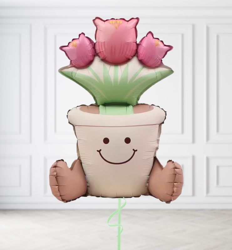 Sitting Potted Plant Balloons (AIR ONLY)