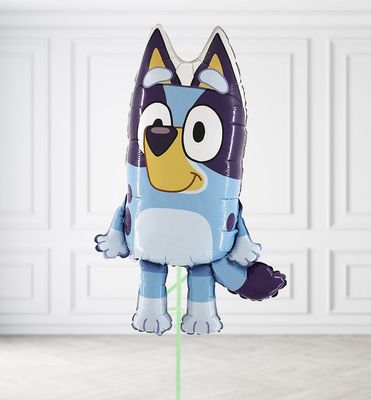 Bluey Balloons