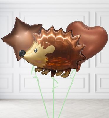 Happy Hedgehog Balloons