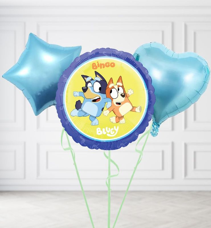 Bluey and Bingo Round Balloons Bluey and Bingo Round Balloons