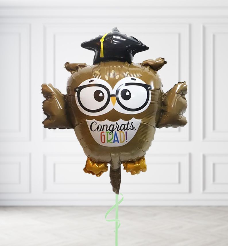Wise Owl Graduation Balloons