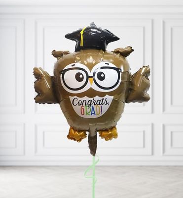 Wise Owl Graduation Balloons