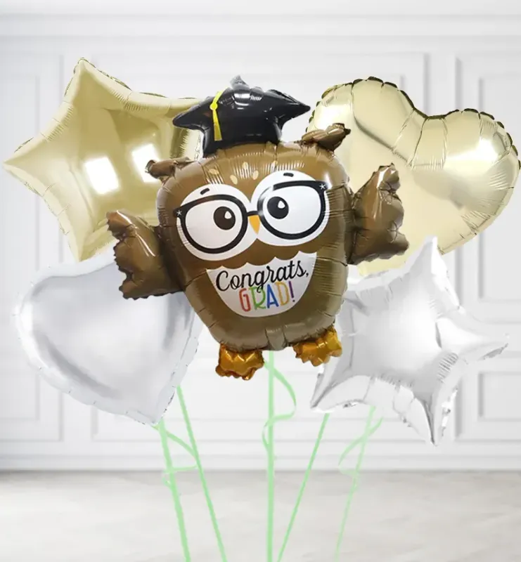 Wise Owl Graduation Balloons