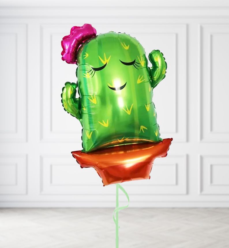 Ms Cactus Balloons, Build a Helium Filled Bunch: No Extras, Build a Bouquet: No Extras