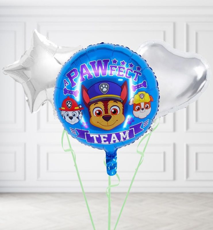 Paw Patrol Team Balloons Paw Patrol Team Balloons
