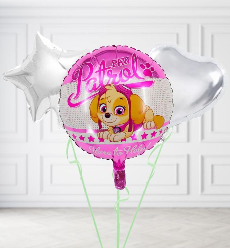 Pink Paw Patrol Skye Balloons Pink Paw Patrol Skye Balloons