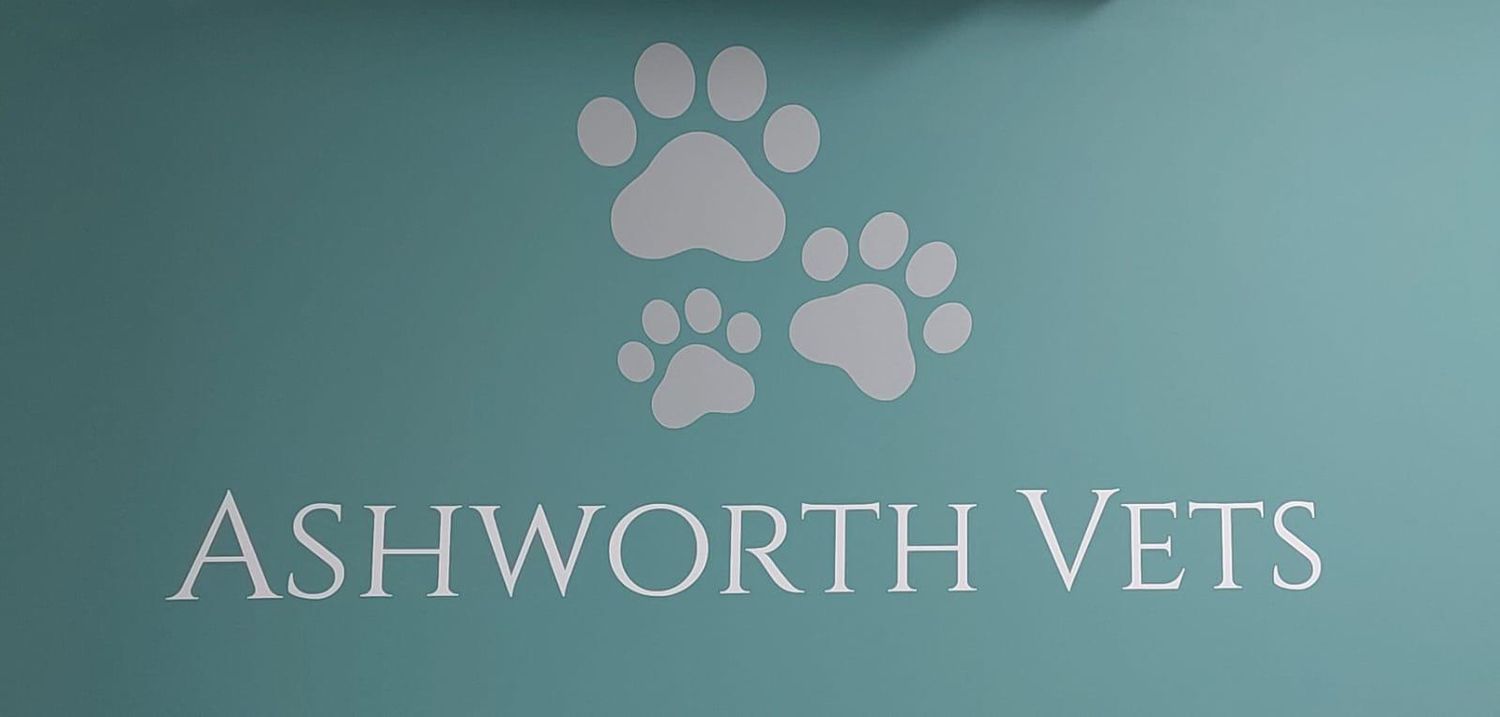 Bespoke Balloon Display Payment Link: Ashworth Veterinary Group