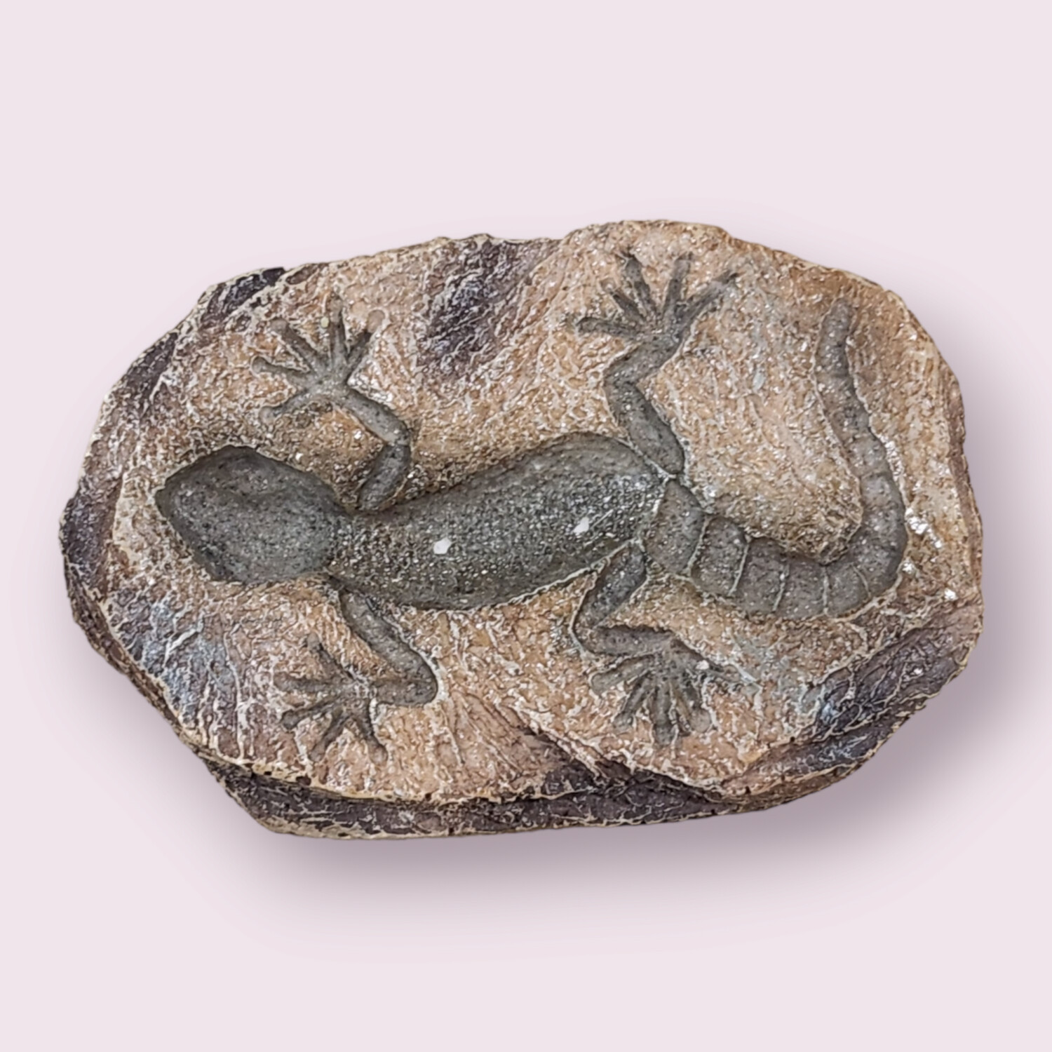 Gecko Fossil Rock