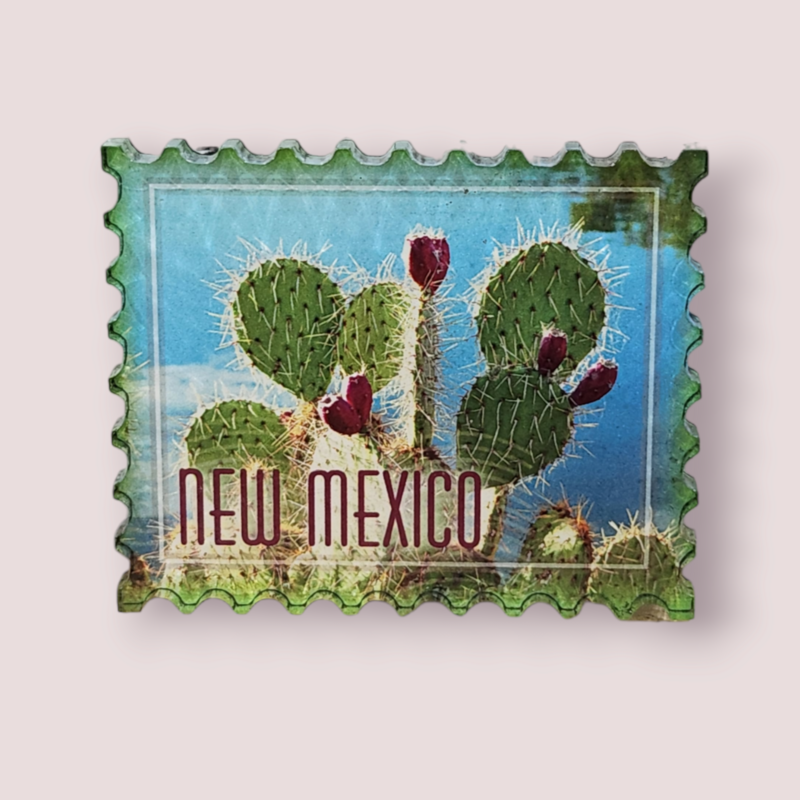 New Mexico Magnets