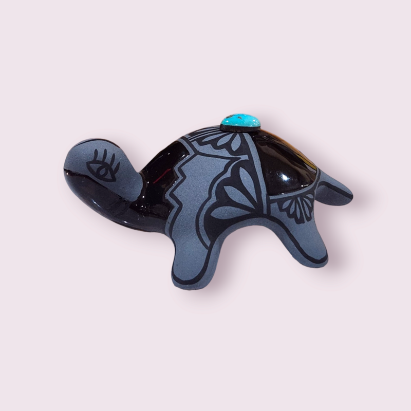Medium Turtle | Lawrence Vargas