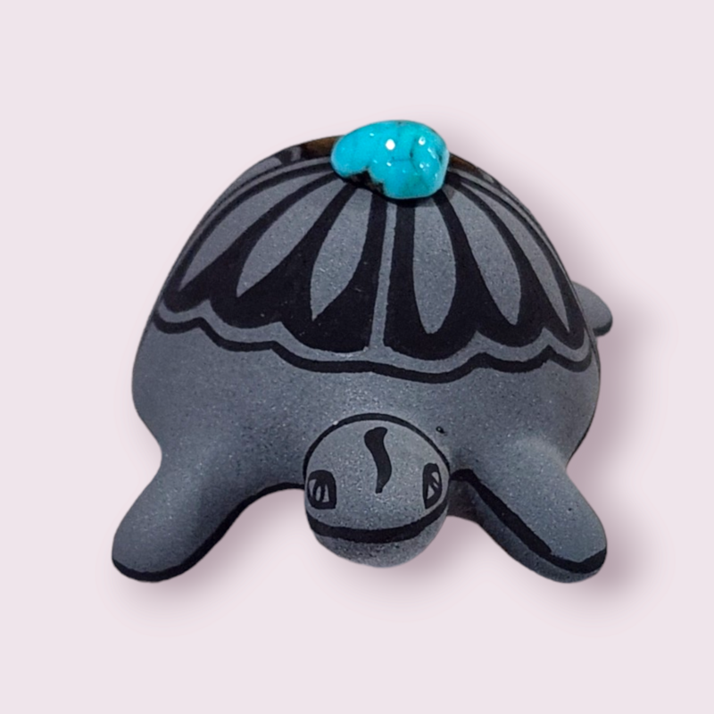 Mini Turtle | Lawrence Vargas