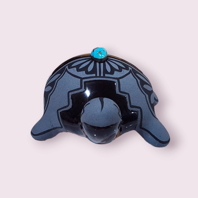 Medium Turtle | Lawrence Vargas