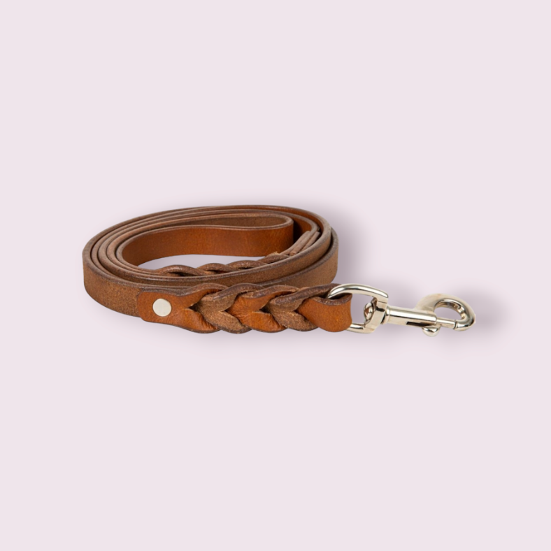 Explorer Leather Dog Leash