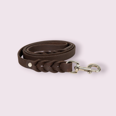 Adventurer Leather Dog Leash