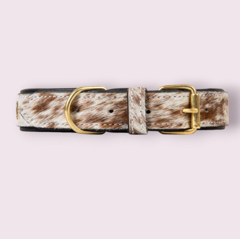 Chissum Hair-on Hide Dog Collar
