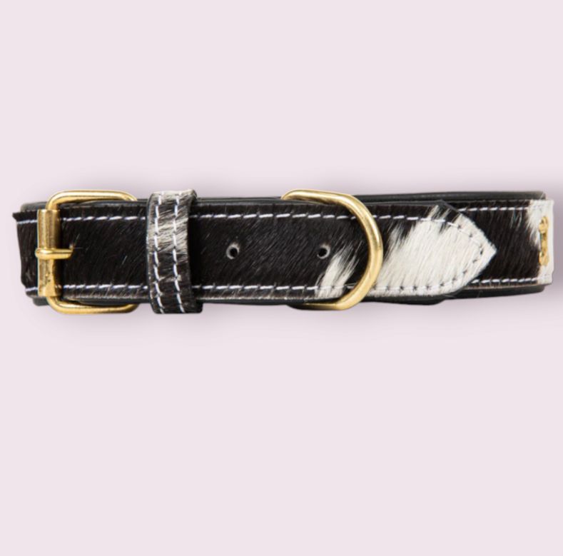 Monterey Hair-on Hide Dog Collar