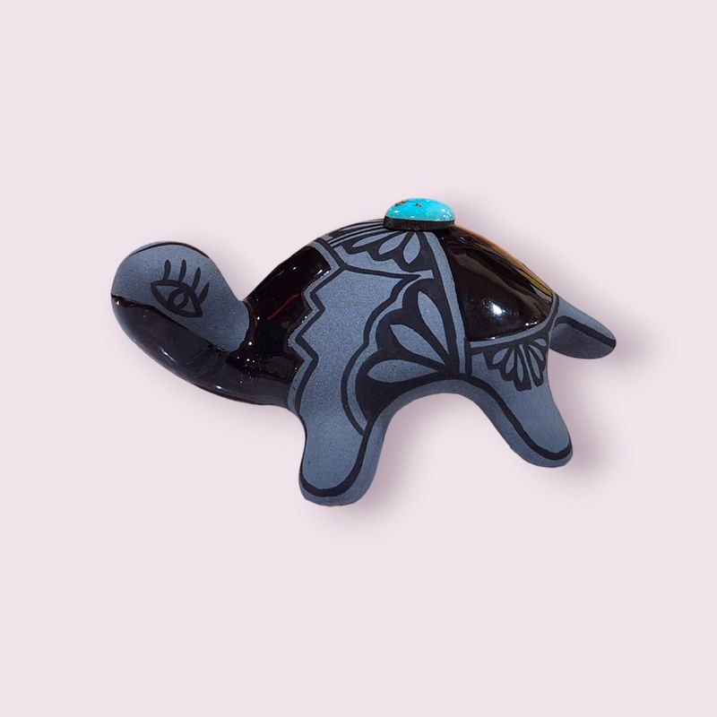 Medium Turtle | Lawrence Vargas