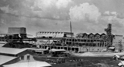 Vesteys meatworks under construction