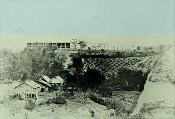 1874 Palmerston Hospital