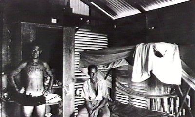 CGI hut Frog Hollow CGI hut Frog Hollow