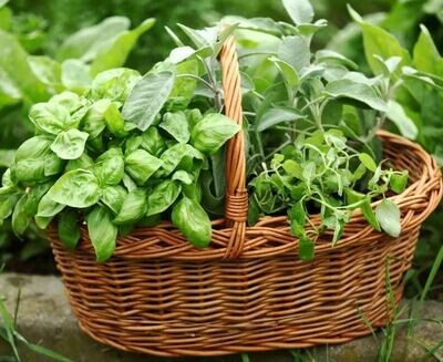 Herbs