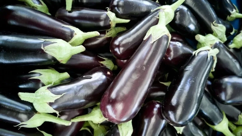 Eggplant