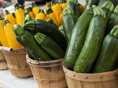 Squash