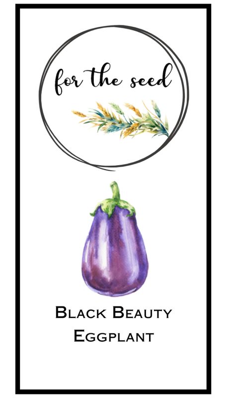 Black Beauty Eggplant