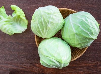 Brassica