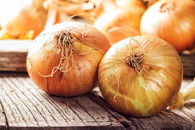 Onion
