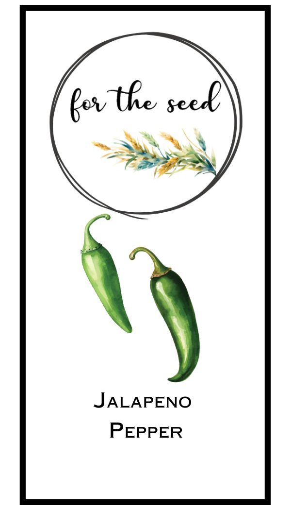 Jalapeno Pepper