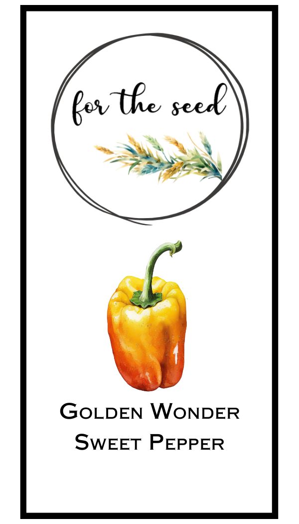 Golden Wonder Bell Pepper
