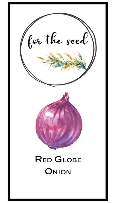 Red Globe Onion