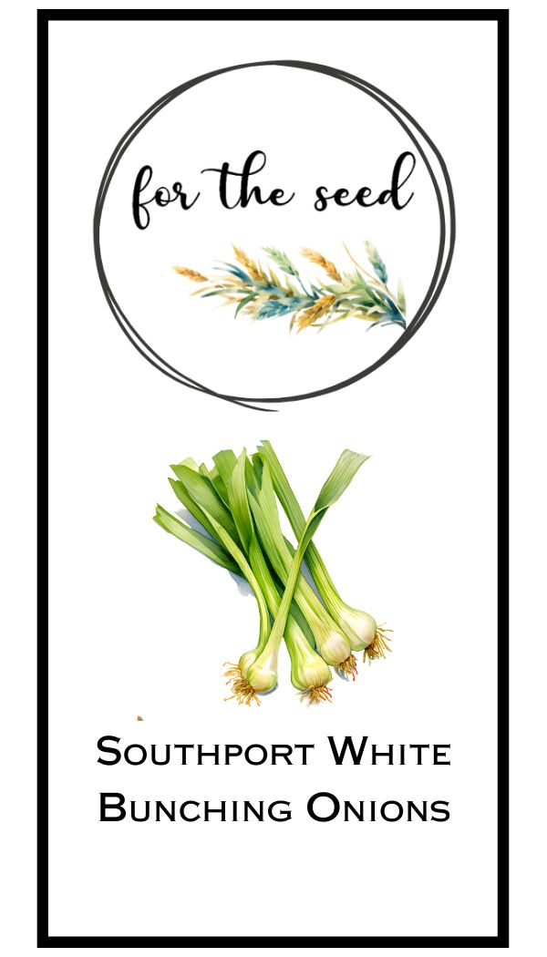 Southport White Bunching Onions