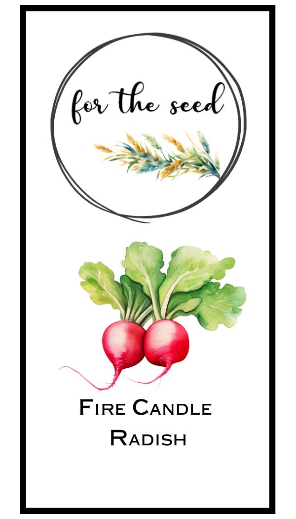 Fire Candle Radish