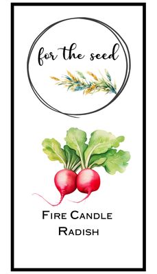 Fire Candle Radish